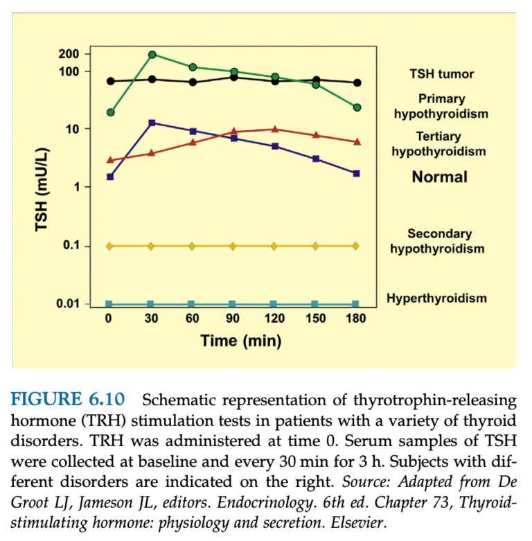 TSH|ある内科医のまとめ
