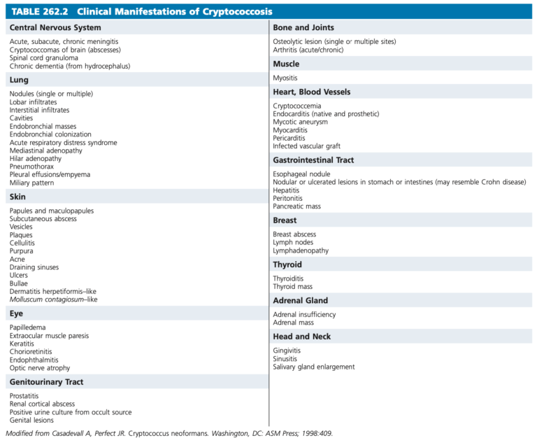 クリプトコッカス髄膜炎はどのように診断されますか?