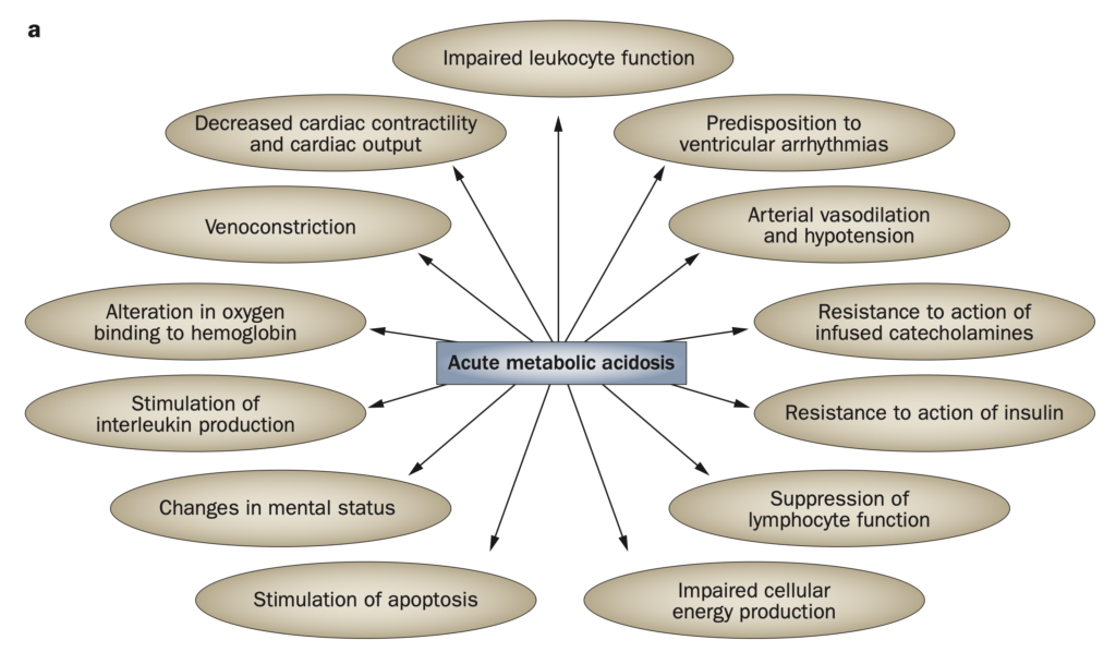アシドーシスの見通し