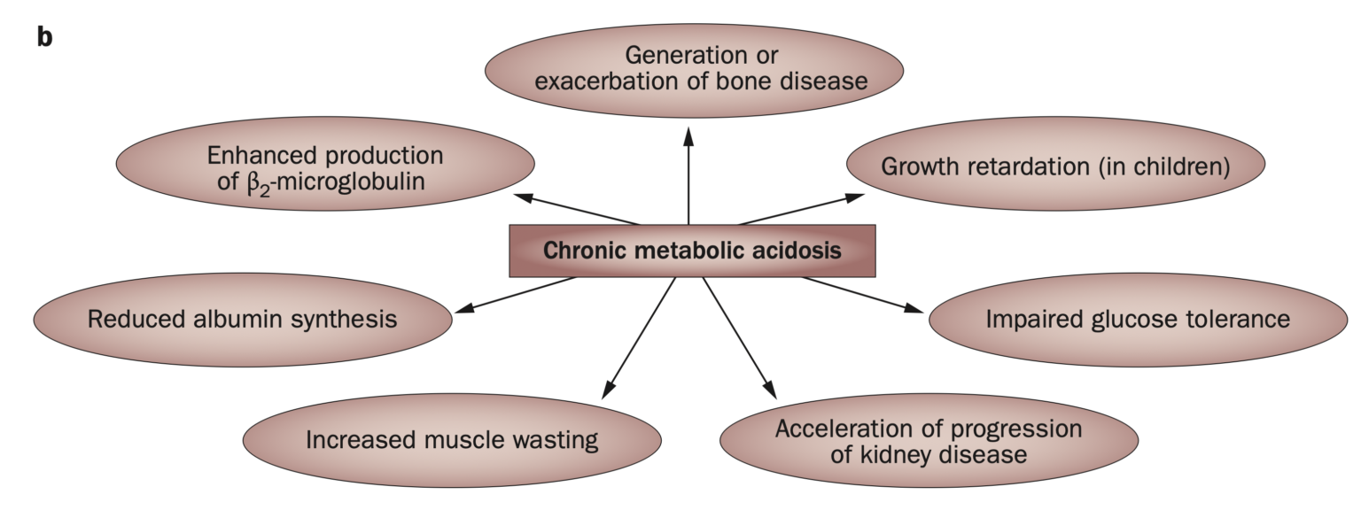 アシドーシスの予防